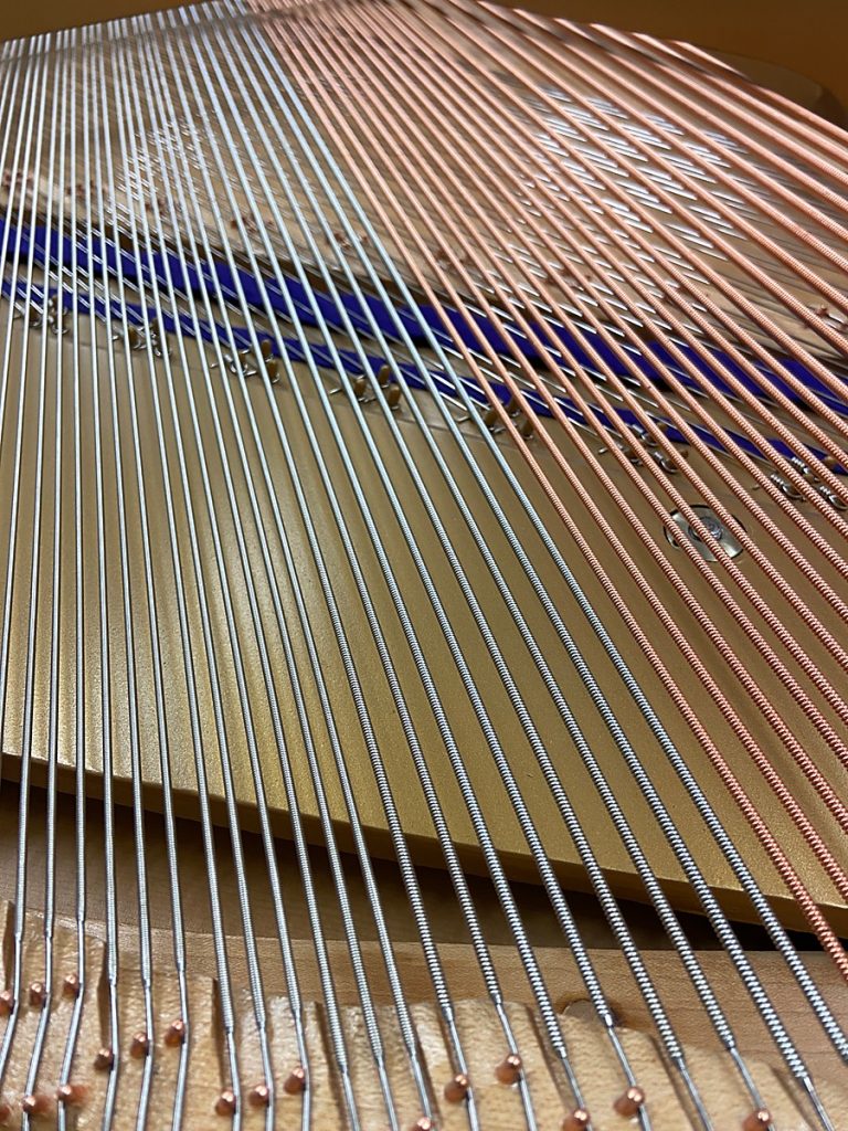 Photo of strings